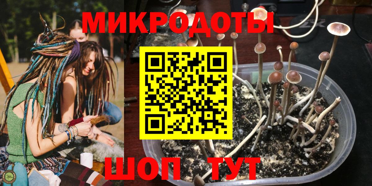 Котлас  Галлюциногенные грибы MAGIC MUSHROOMS  Вход с VPN 