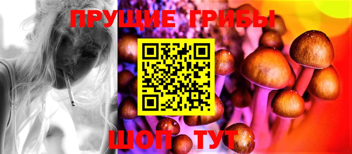 Галлюциногенные грибы Psilocybe Котлас